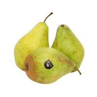 Celebrate Love (1080x1080) (16)